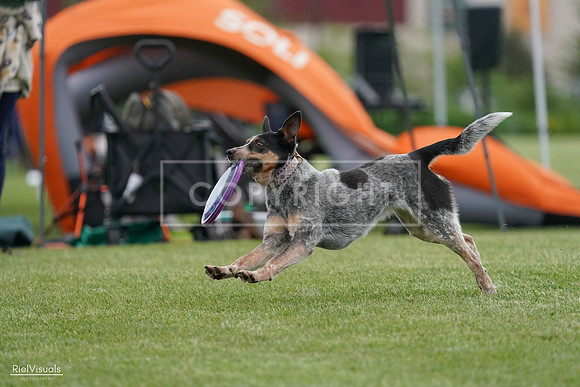 RielVisuals_20240525_164248_SJR05291