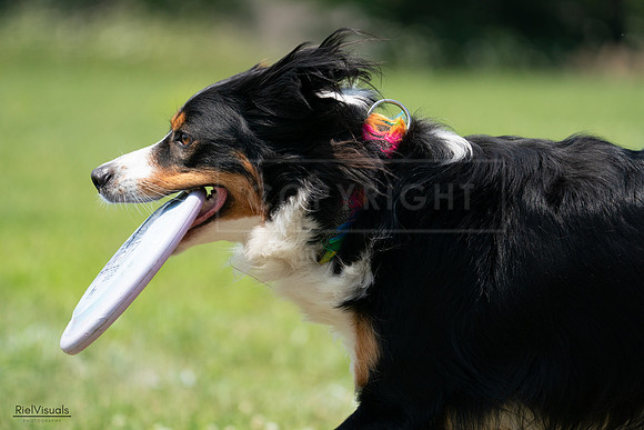 RielVisuals_20240728_133331_SJR06579