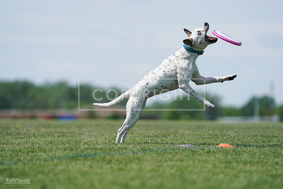 RielVisuals_20240525_120319_SJR08447