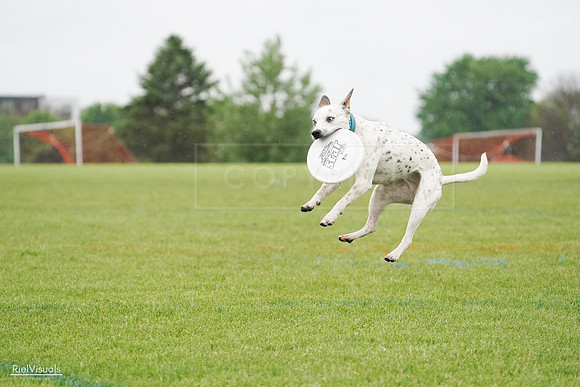RielVisuals_20240527_105812_SJR02380