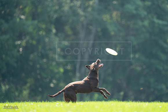 RielVisuals_20240727_123353_SJR05872