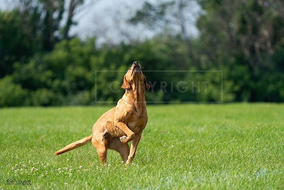 RielVisuals_20240728_104009_SJR08823
