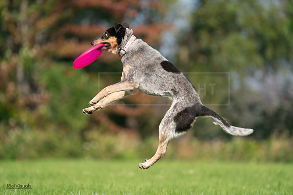 RielVisuals_20240727_093848_SJR07044