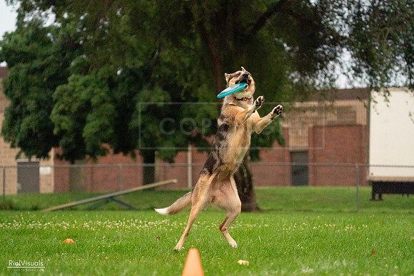RielVisuals_20240722_203412_SJR04016