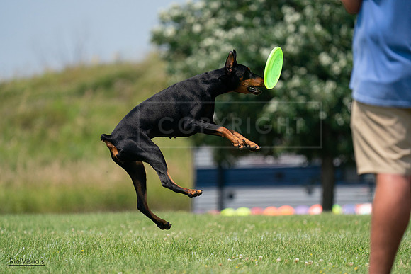 RielVisuals_20240727_135343_SJR08821