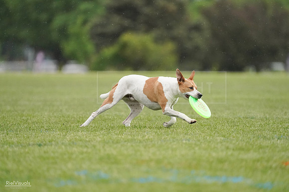 RielVisuals_20240526_092011_SJR09645