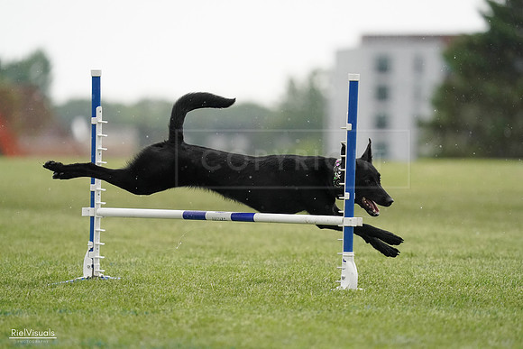 RielVisuals_20240526_092324_SJR09837