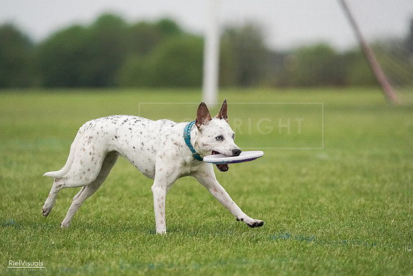 RielVisuals_20240527_092955_SJR07599