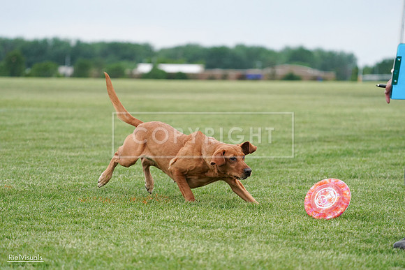 RielVisuals_20240525_165901_SJR05753