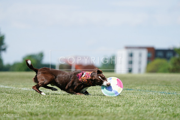 RielVisuals_20240525_121934_SJR09497