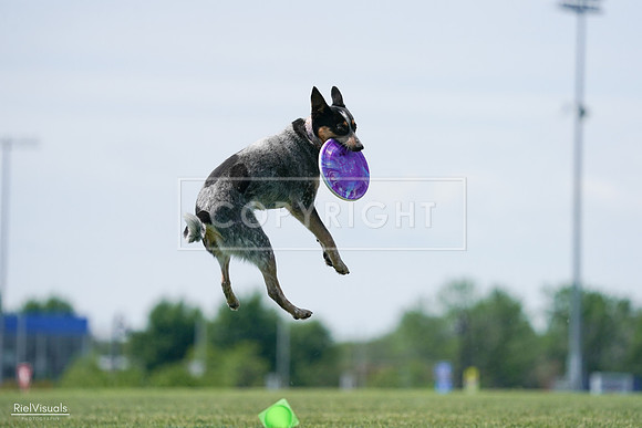 RielVisuals_20240525_122231_SJR09619