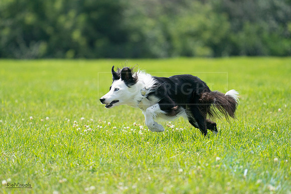 RielVisuals_20240728_130400_SJR04966