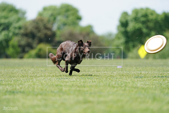 RielVisuals_20240525_120829_SJR08833
