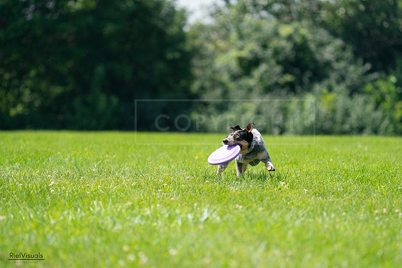 RielVisuals_20240728_115316_SJR02285