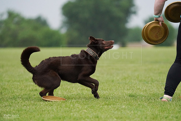 RielVisuals_20240527_090857_SJR06233