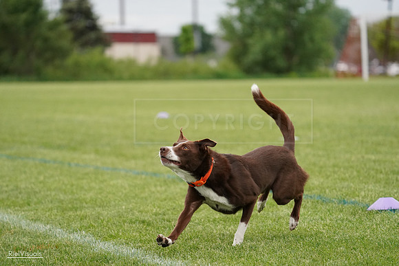 RielVisuals_20240526_131212_SJR07100