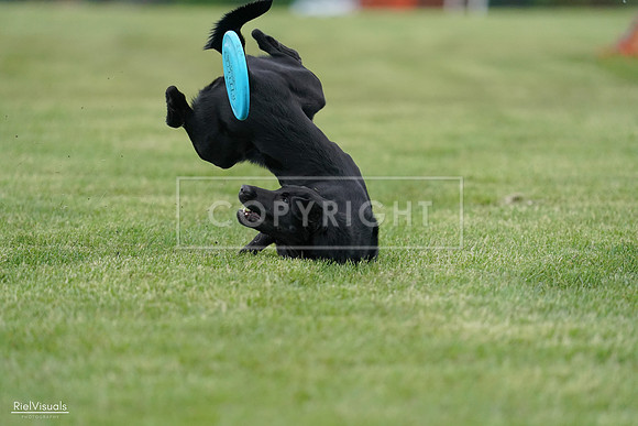RielVisuals_20240525_170457_SJR06016