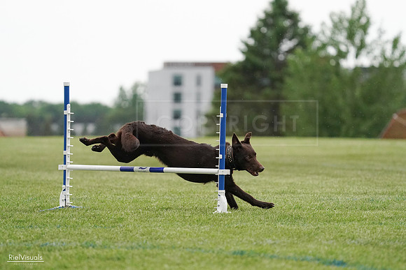 RielVisuals_20240526_091000_SJR09260