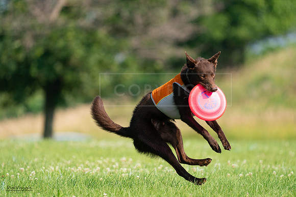 RielVisuals_20240727_092520_SJR06294