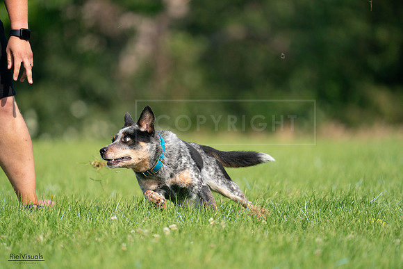 RielVisuals_20240727_094844_SJR07661