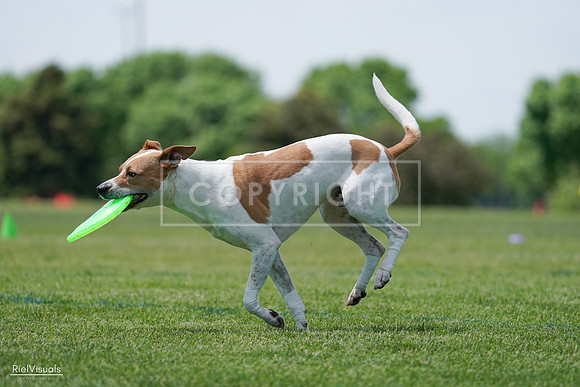 RielVisuals_20240525_121734_SJR09306