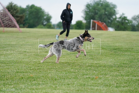 RielVisuals_20240525_170109_SJR05825