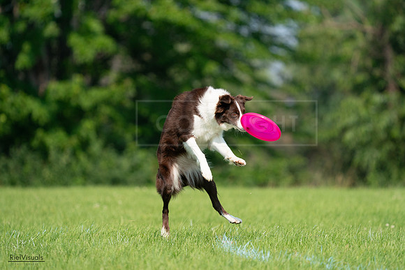 RielVisuals_20240727_095817_SJR08127