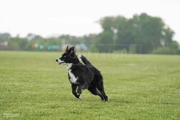 RielVisuals_20240526_095206_SJR01174