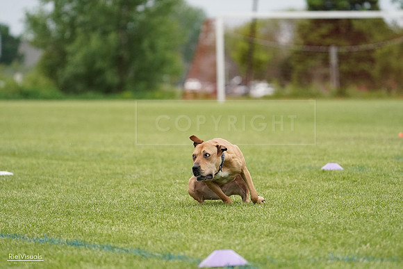 RielVisuals_20240526_131522_SJR07262