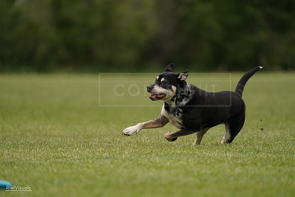 RielVisuals_20240526_134438_SJR08917