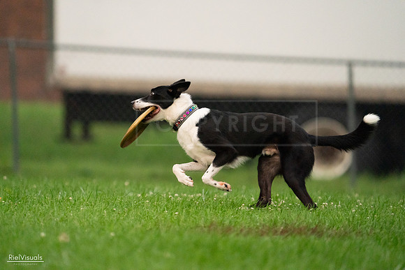 RielVisuals_20240722_200704_SJR02904