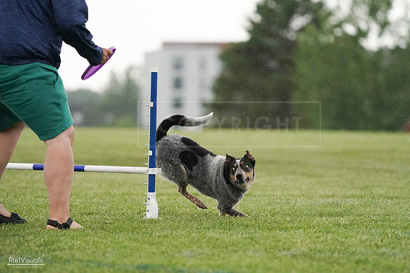 RielVisuals_20240526_094807_SJR01077