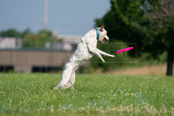 RielVisuals_20240727_095414_SJR07966