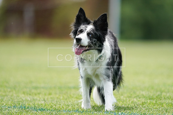 RielVisuals_20240525_124332_SJR00981