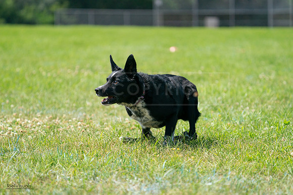 RielVisuals_20240728_115555_SJR02462