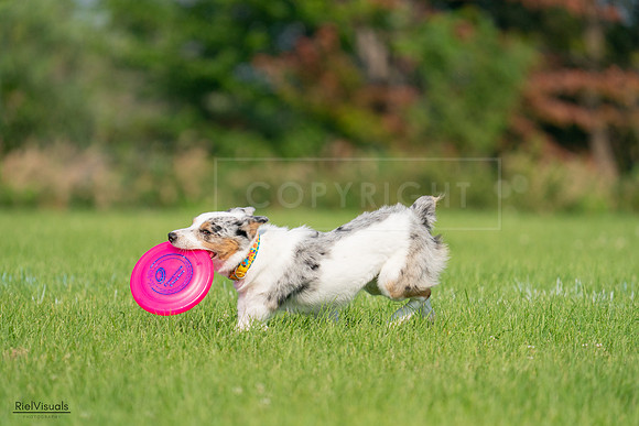 RielVisuals_20240727_092305_SJR06170