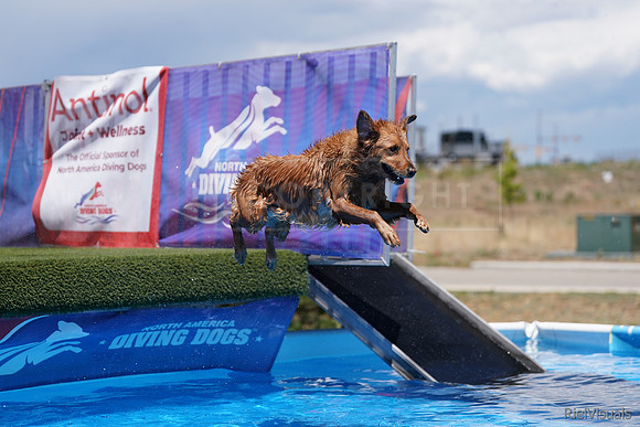 SJR06574