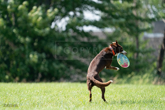 RielVisuals_20240728_144858_SJR09216