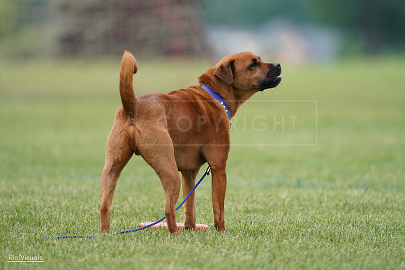 RielVisuals_20240527_141942_SJR02379