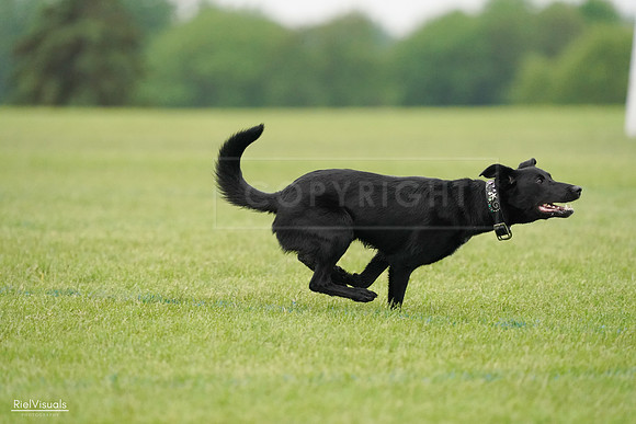 RielVisuals_20240527_110248_SJR02655