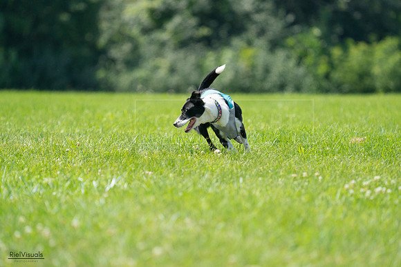 RielVisuals_20240728_115735_SJR02515