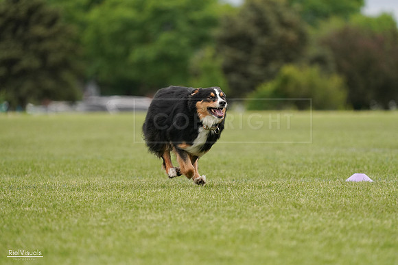 RielVisuals_20240526_135318_SJR09454
