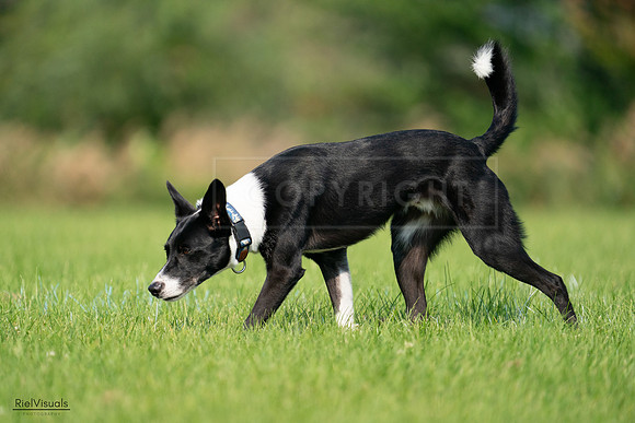 RielVisuals_20240727_094557_SJR07489