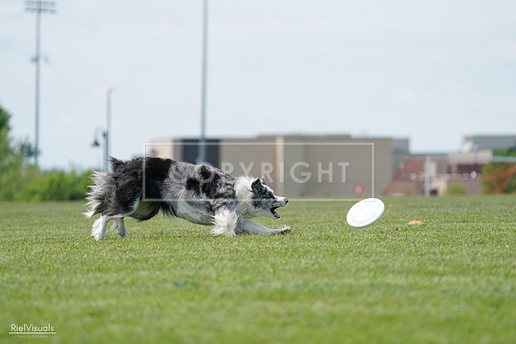 RielVisuals_20240525_123616_SJR00531
