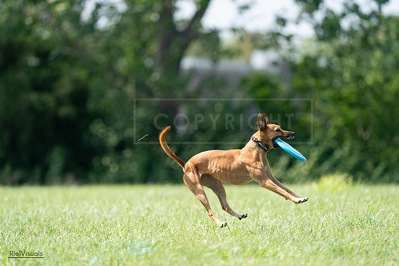 RielVisuals_20240728_150232_SJR09940