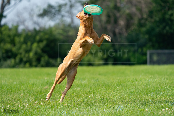 RielVisuals_20240728_104009_SJR08827