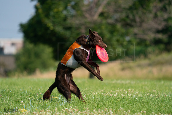 RielVisuals_20240727_092457_SJR06209
