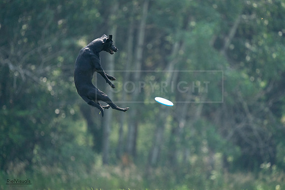 RielVisuals_20240727_122731_SJR05599