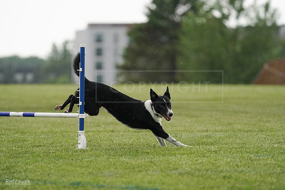 RielVisuals_20240526_093349_SJR00354