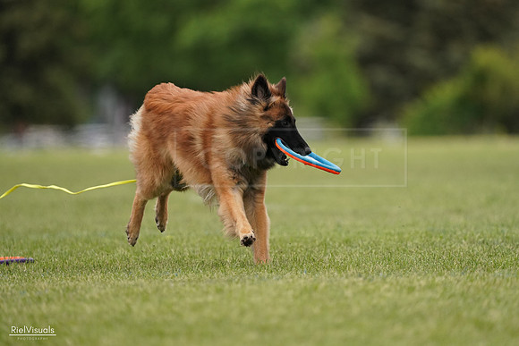 RielVisuals_20240526_134754_SJR09133